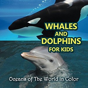 Whales And Dolphins For Kids: Gifts for dolphin lovers