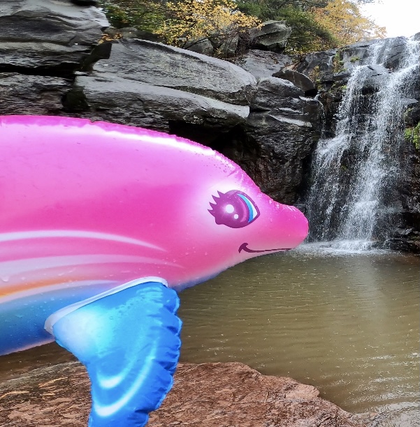 Luna the Dolphin goes to Mongaup Waterfall
