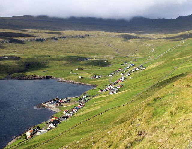 Faroe Islands Slaughtered 100 Bottlenose Dolphins